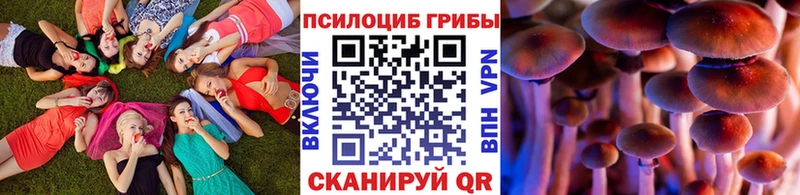 наркота  Красноармейск  Галлюциногенные грибы Psilocybine cubensis 